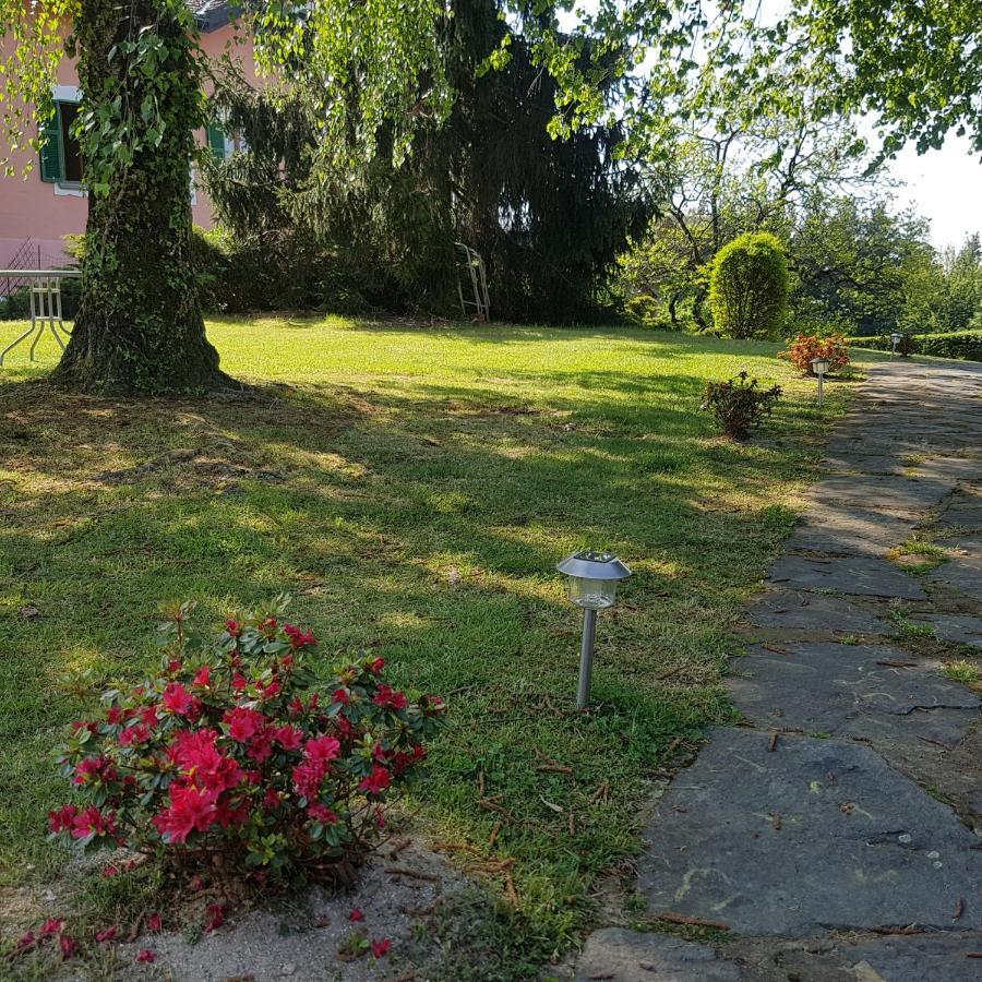 Villa Le Vignole Ameno Exterior photo